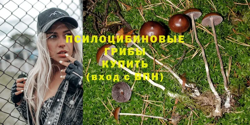 Галлюциногенные грибы Magic Shrooms  Губкин 